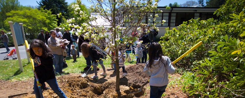 Healthy Environment for Everyone - Lorax Blog