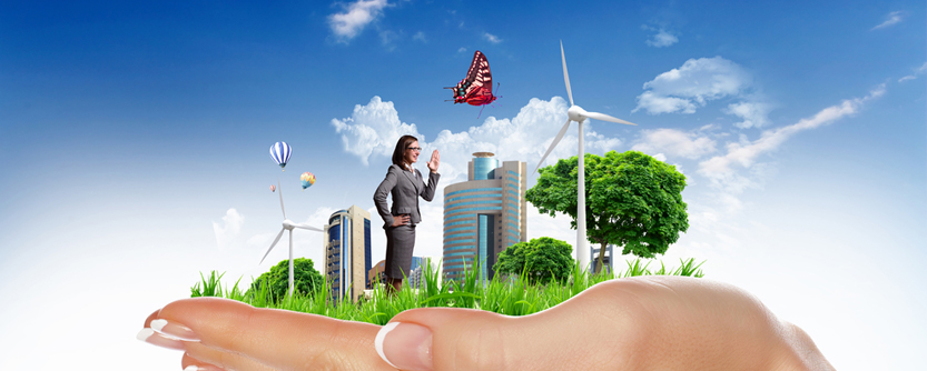 Not So Fast - Lorax Blog