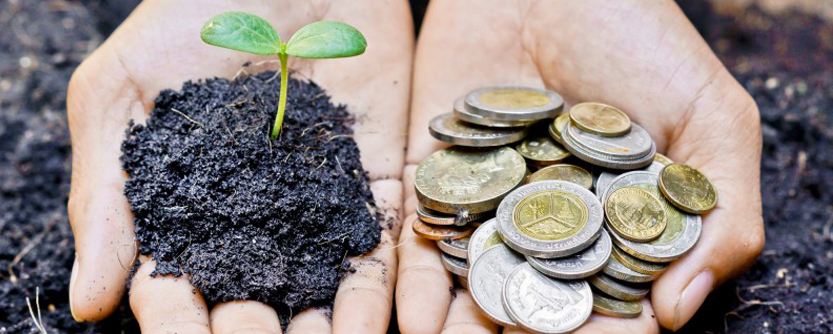 Businesses Embrace Corporate Social Responsibility