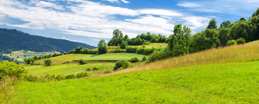 Nature is here to stay. Are we