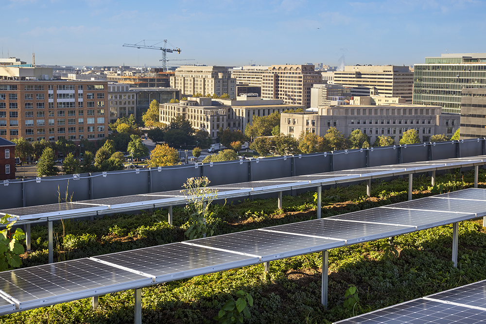 Skyline view from Georgetown University's residential apartments located at 55 H Street overlooking rooftop solar and integrated green roof.