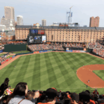 image_2025-07-25_113055487