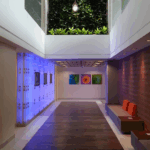 image_2025-07-25_164636304