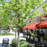 image_2025-07-25_165010560