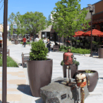 image_2025-07-25_165034191