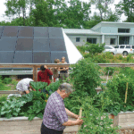 image_2025-07-25_223214603