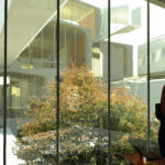 image_2025-07-25_223708472