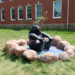 image_2025-07-25_225331716