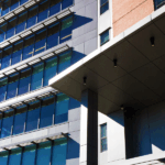 image_2025-07-25_230411296