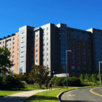 image_2025-07-25_230440259