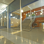 image_2025-07-25_231102687