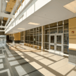 image_2025-07-25_231608322