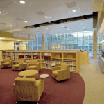 image_2025-07-25_231629068