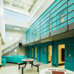 image_2025-07-25_233559527