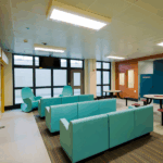 image_2025-07-25_233618102