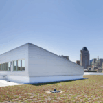 image_2025-07-25_235059449