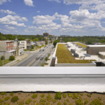 image_2025-07-26_000401839