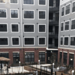 image_2025-07-26_001101502